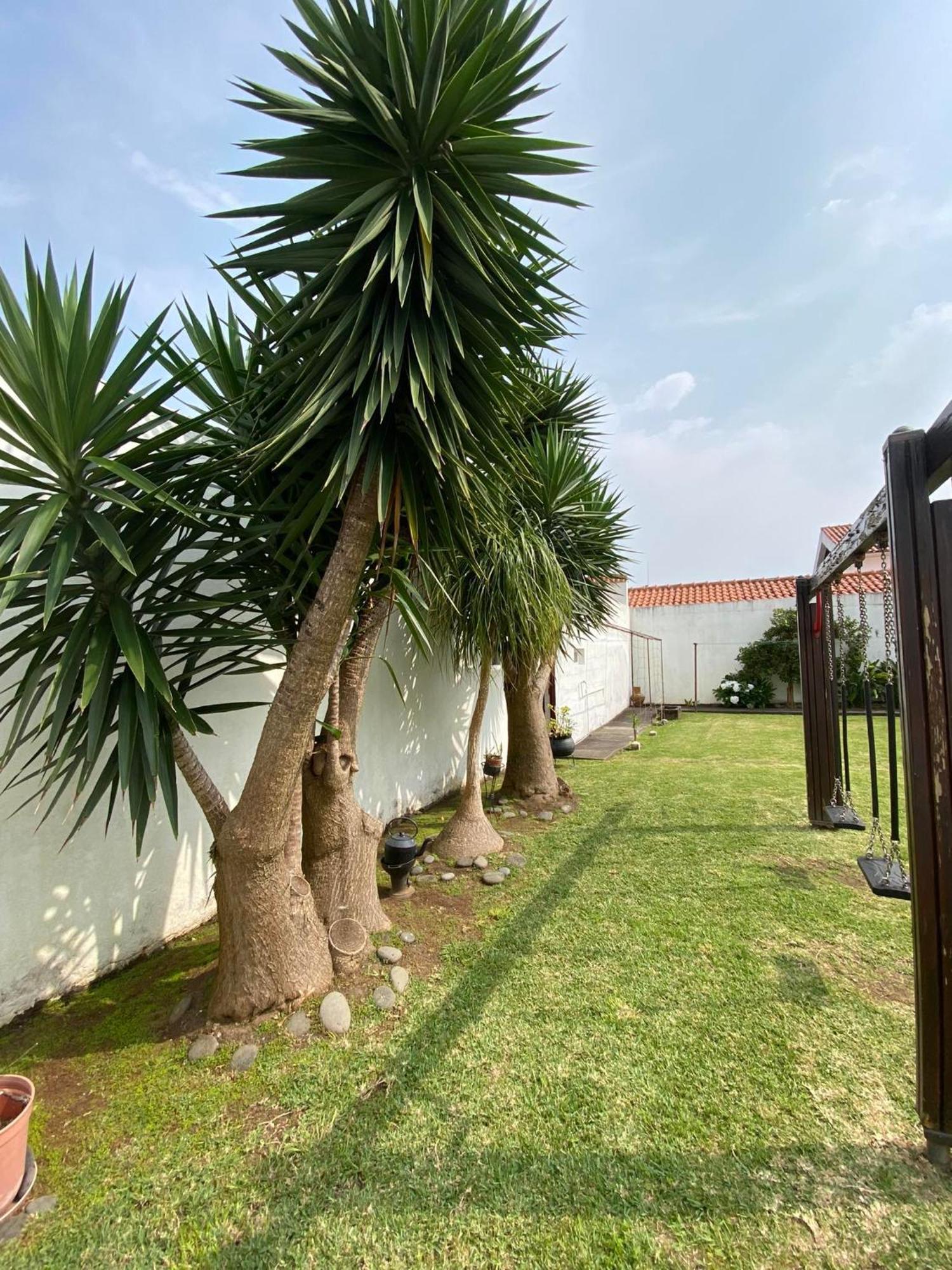 Apartamentos Sao Joao Horta  Luaran gambar