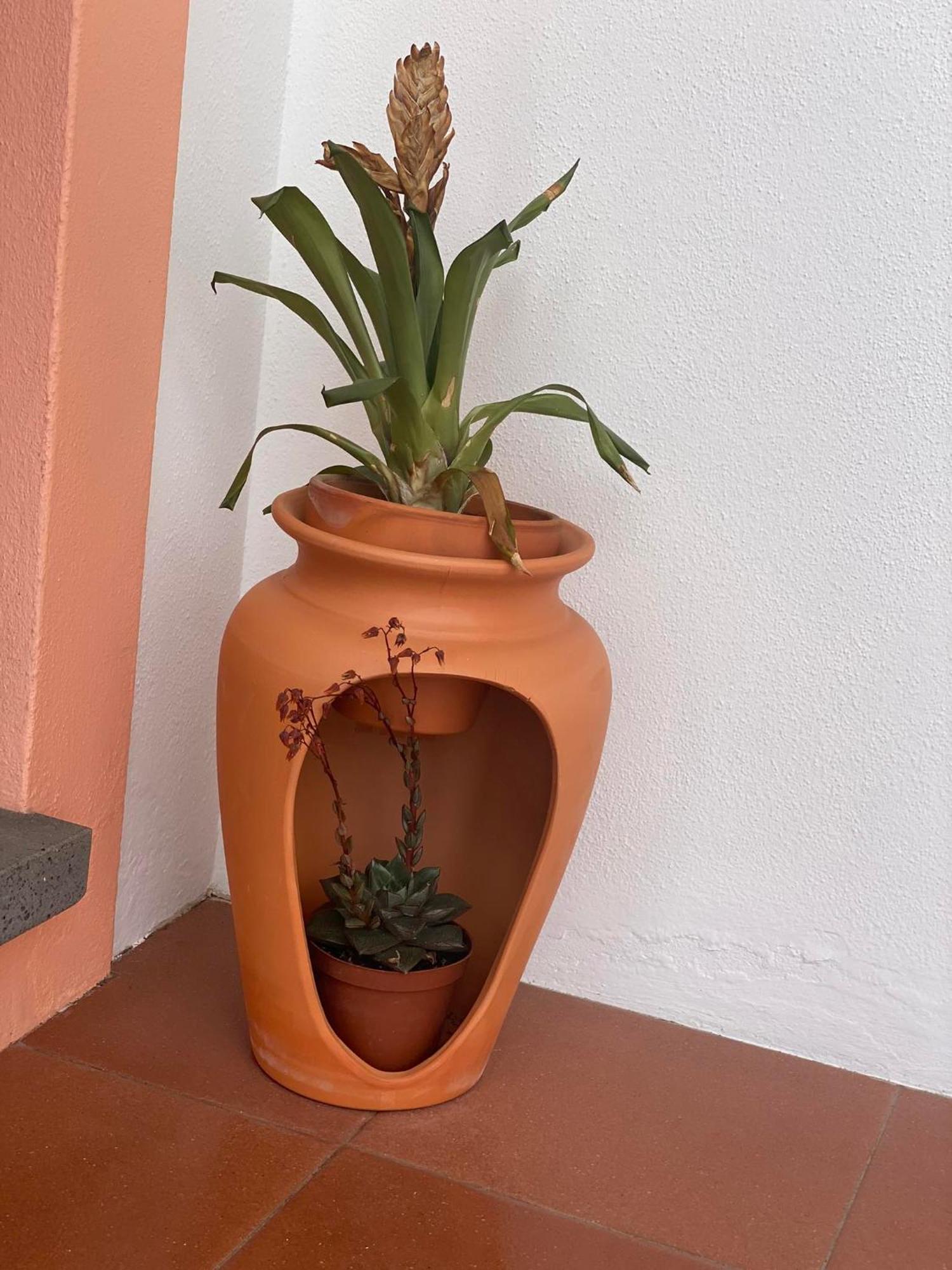 Apartamentos Sao Joao Horta  Luaran gambar